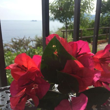 Casa Rosetta Villa Praiano Kültér fotó