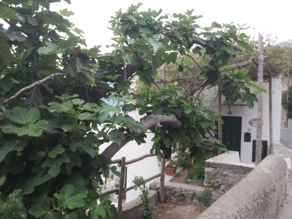 Casa Rosetta Villa Praiano Kültér fotó