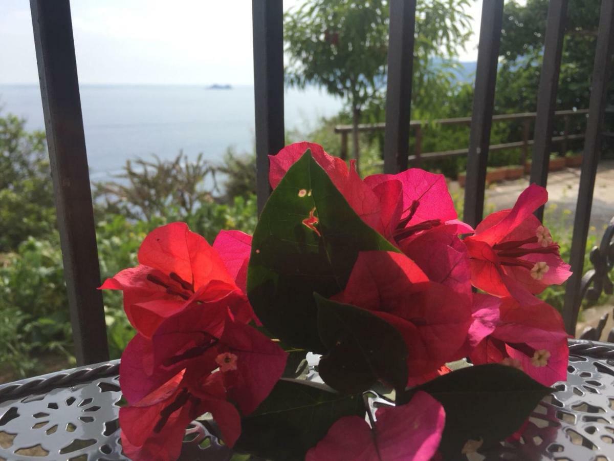 Casa Rosetta Villa Praiano Kültér fotó