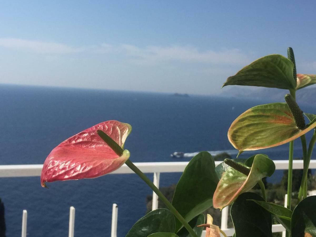 Casa Rosetta Villa Praiano Kültér fotó
